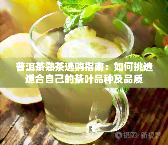 普洱茶熟茶选购指南：如何挑选适合自己的茶叶品种及品质