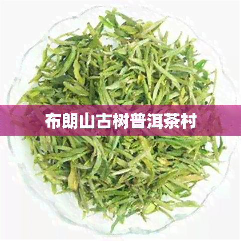 布朗山古树普洱茶村