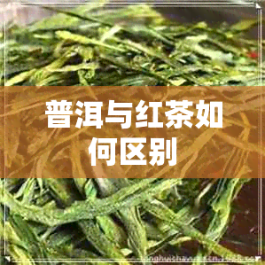 普洱与红茶如何区别