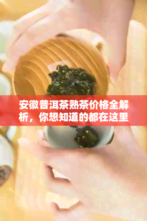 安徽普洱茶熟茶价格全解析，你想知道的都在这里！