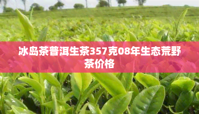 冰岛茶普洱生茶357克08年生态荒野茶价格