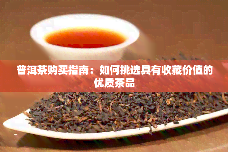 普洱茶购买指南：如何挑选具有收藏价值的优质茶品