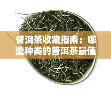 普洱茶收藏指南：哪些种类的普洱茶最值得推荐？