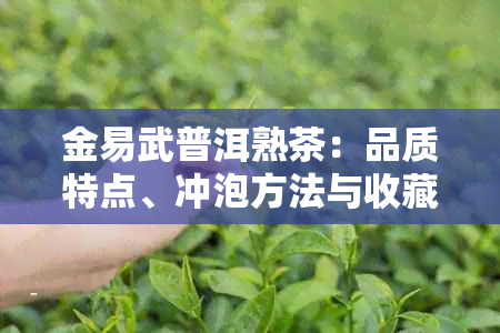 金易武普洱熟茶：品质特点、冲泡方法与收藏技巧全面解析