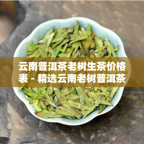 云南普洱茶老树生茶价格表 - 精选云南老树普洱茶饼生茶叶