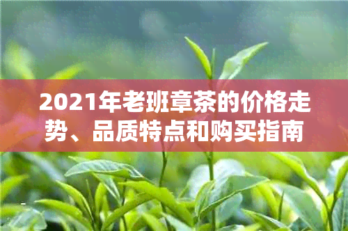 2021年老班章茶的价格走势、品质特点和购买指南，让你了解最全面的信息