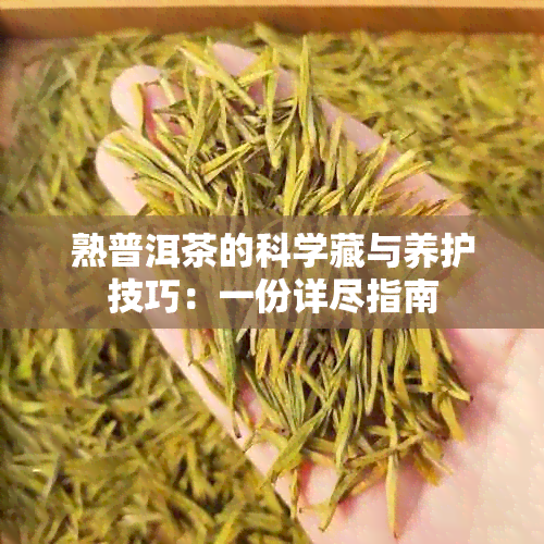 熟普洱茶的科学藏与养护技巧：一份详尽指南