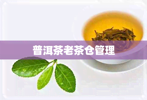 普洱茶老茶仓管理