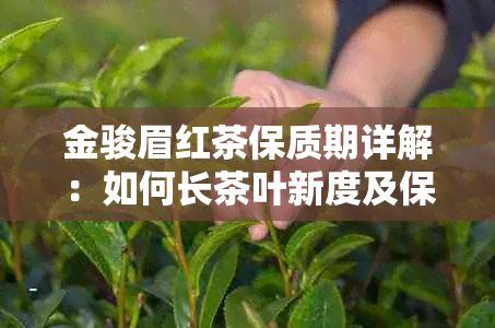 金骏眉红茶保质期详解：如何长茶叶新度及保存方法，让你喝得安心又放心