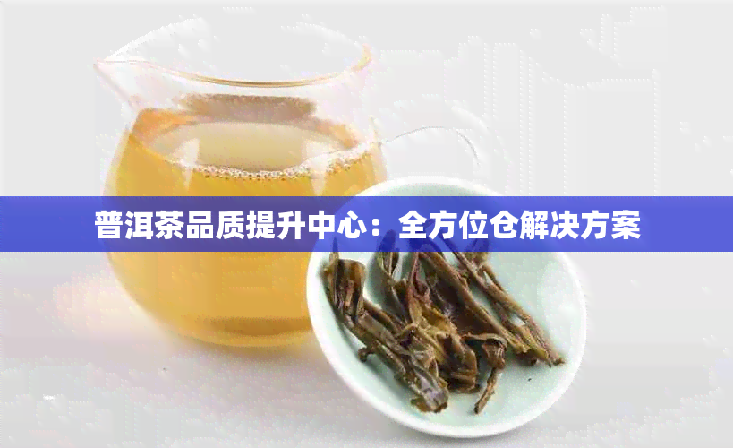 普洱茶品质提升中心：全方位仓解决方案