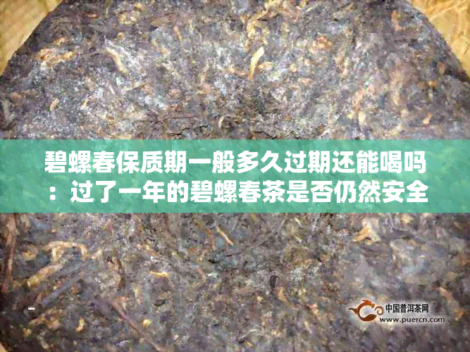 碧螺春保质期一般多久过期还能喝吗：过了一年的碧螺春茶是否仍然安全饮用？