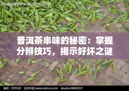 普洱茶串味的秘密：掌握分辨技巧，揭示好坏之谜