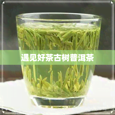 遇见好茶古树普洱茶