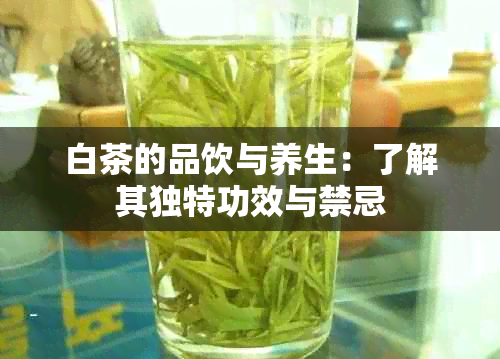 白茶的品饮与养生：了解其独特功效与禁忌