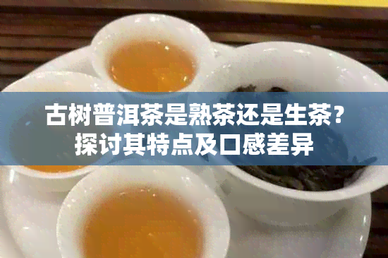 古树普洱茶是熟茶还是生茶？探讨其特点及口感差异