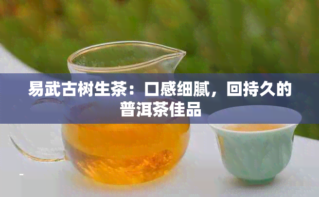 易武古树生茶：口感细腻，回持久的普洱茶佳品