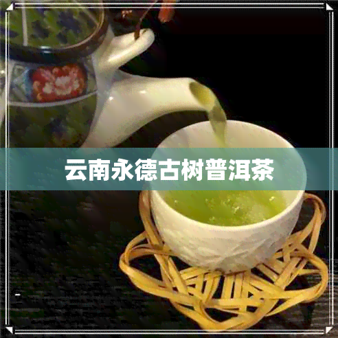 云南永德古树普洱茶