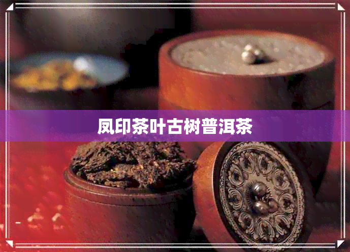 凤印茶叶古树普洱茶