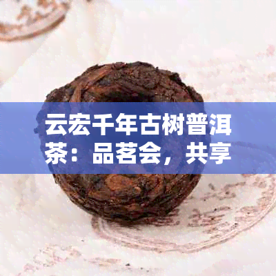 云宏千年古树普洱茶：品茗会，共享千载传承之美