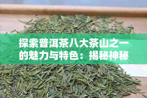 探索普洱茶八大茶山之一的魅力与特色：揭秘神秘的山头文化