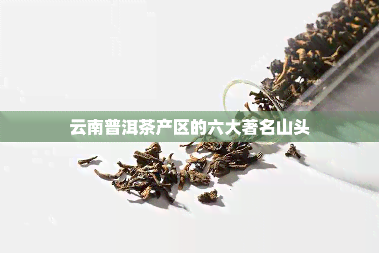 云南普洱茶产区的六大著名山头