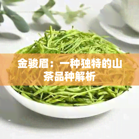 金骏眉：一种独特的山茶品种解析