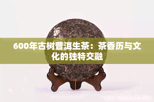 600年古树普洱生茶：茶香历与文化的独特交融