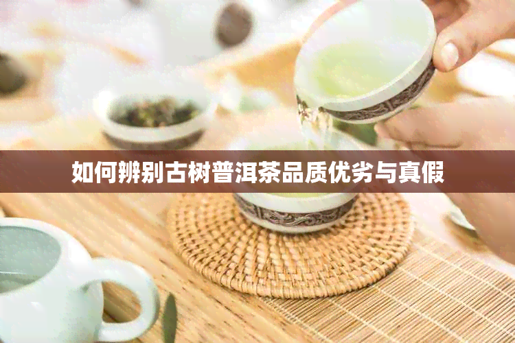 如何辨别古树普洱茶品质优劣与真假