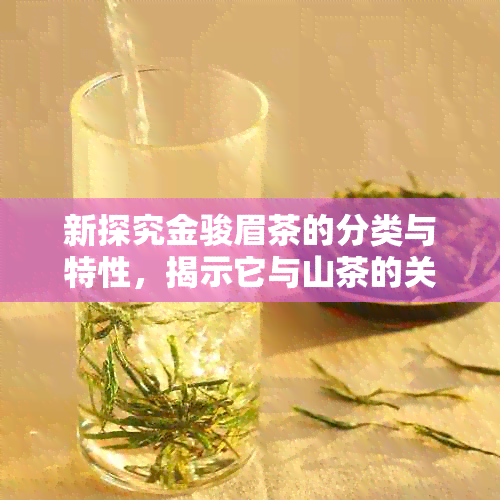 新探究金骏眉茶的分类与特性，揭示它与山茶的关联