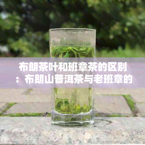 布朗茶叶和班章茶的区别：布朗山普洱茶与老班章的异同