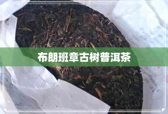 布朗班章古树普洱茶