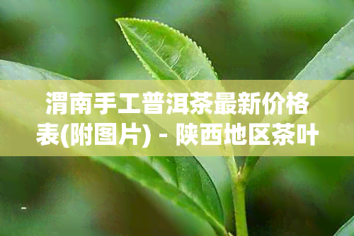 渭南手工普洱茶最新价格表(附图片) - 陕西地区茶叶批发商