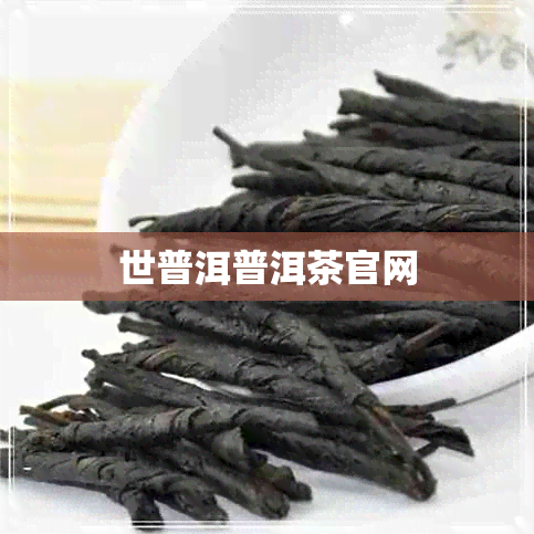 世普洱普洱茶官网