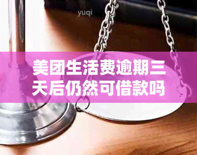 美团生活费逾期三天后仍然可借款吗？逾期还款对后续借款有哪些影响？