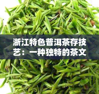 浙江特色普洱茶存技艺：一种独特的茶文化体验