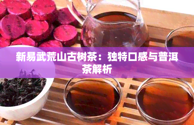 新易武荒山古树茶：独特口感与普洱茶解析