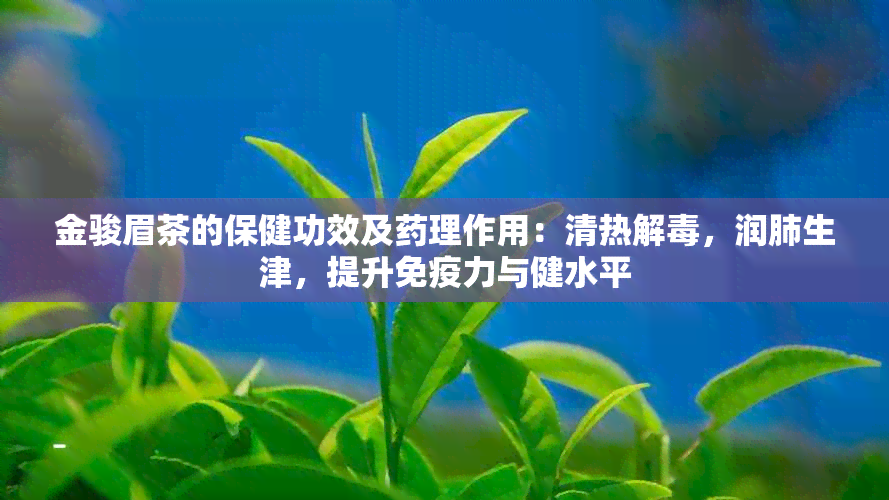 金骏眉茶的保健功效及理作用：清热解，润肺生津，提升免疫力与健水平