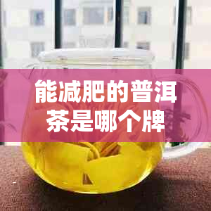 能减肥的普洱茶是哪个牌子？买哪种品种的普洱茶可以减肥？