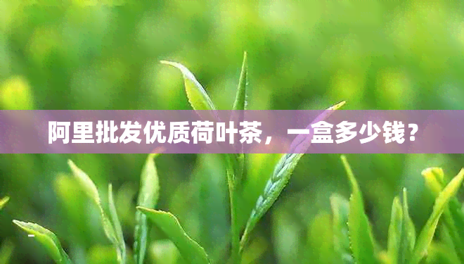 阿里批发优质荷叶茶，一盒多少钱？