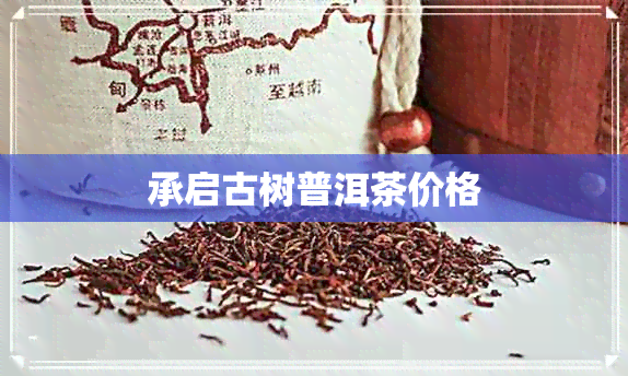 承启古树普洱茶价格