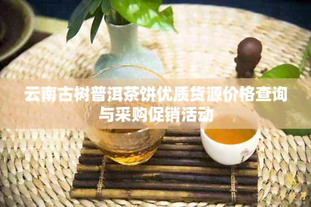 云南古树普洱茶饼优质货源价格查询与采购促销活动