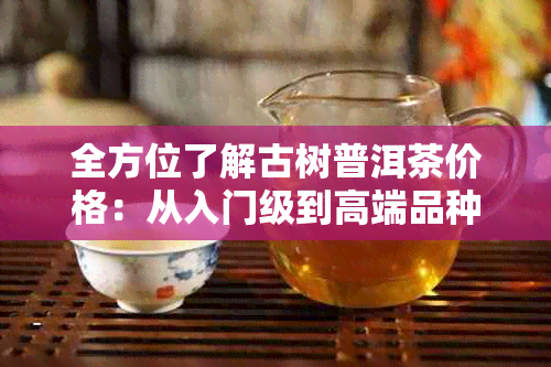 全方位了解古树普洱茶价格：从入门级到高端品种的市场分析和价值解析