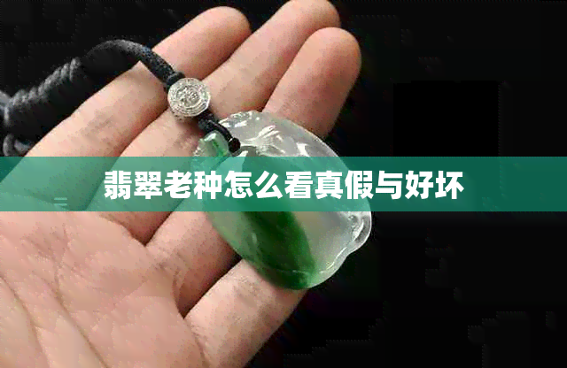 翡翠老种怎么看真假与好坏