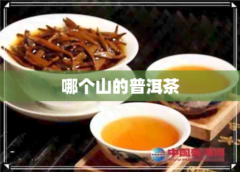 哪个山的普洱茶