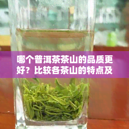 哪个普洱茶茶山的品质更好？比较各茶山的特点及适合泡制的普洱茶种类