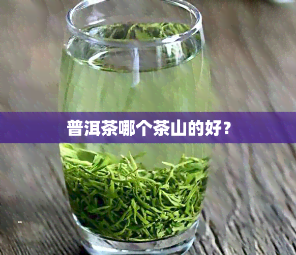 普洱茶哪个茶山的好？