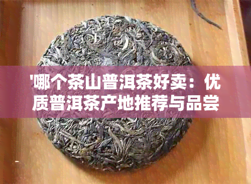 '哪个茶山普洱茶好卖：优质普洱茶产地推荐与品尝体验'