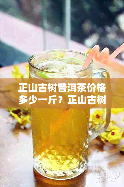 正山古树普洱茶价格多少一斤？正山古树普洱茶价格是多少？