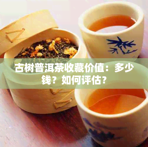 古树普洱茶收藏价值：多少钱？如何评估？