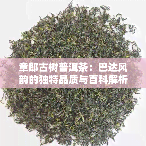 章郎古树普洱茶：巴达风韵的独特品质与百科解析